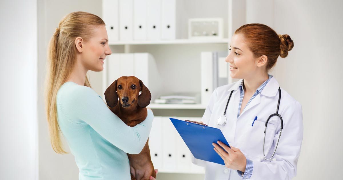 5 things I would tell my vet school self, part 4