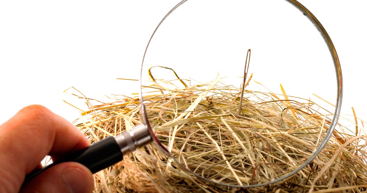 Is finding a needle in a vet practice like finding a needle in a haystack? Image © Victor Moussa / Adobe Stock