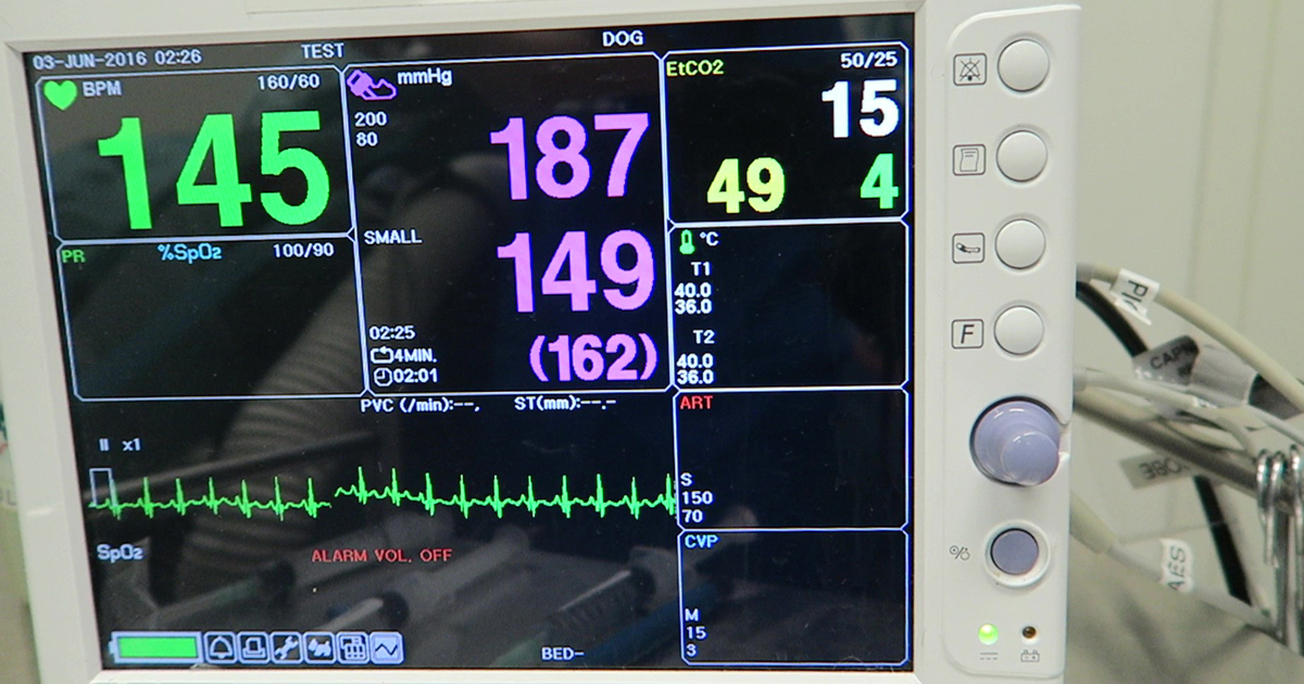 Systemic hypertension, part 2: clinical signs and diagnosis