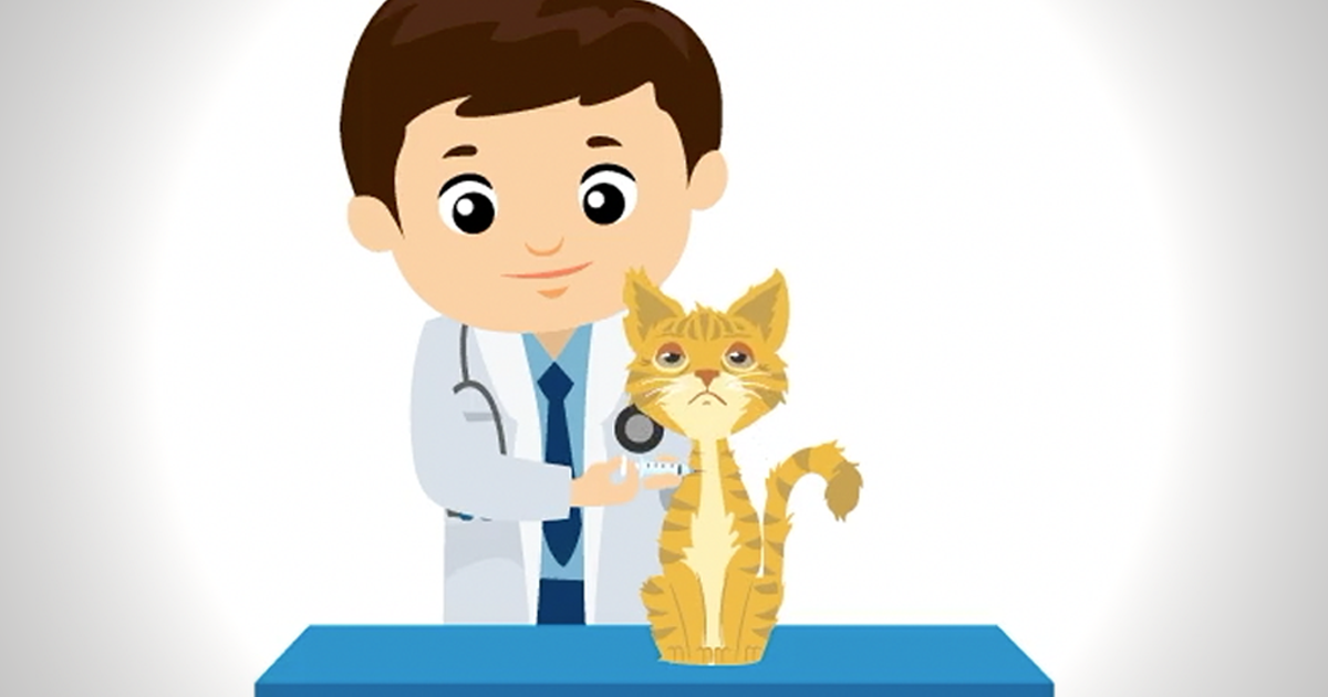 Feline Hyperthyroidism Awareness