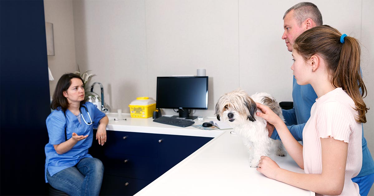 Veterinary consult. Image © JackF / Adobe Stock.