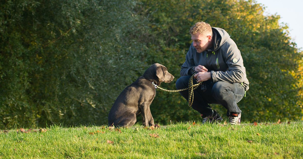 Look after each other – including the four-legged ones