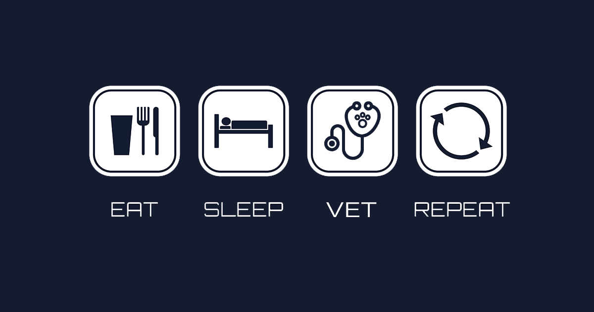 Eat, sleep, vet, repeat